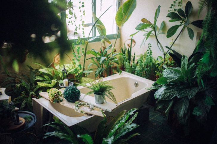 växter i badrum